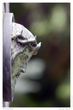 Melatenfriedhof