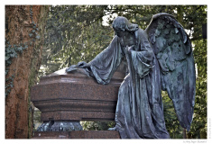 IMG_20110117_135616-Web