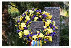 IMG_20110117_143311-Web