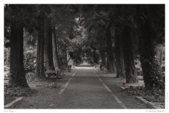 Der Weg