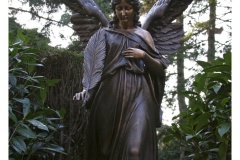 IMG_20061210_111646-Web