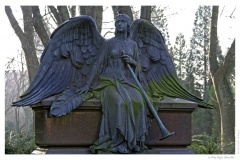 IMG_20061210_115412-Web