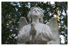 IMG_20061210_120420-Web