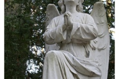 IMG_20061210_120427-Web