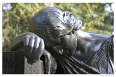 IMG_20061210_120800-Web