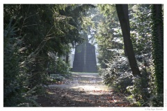 IMG_20061210_121040-Web