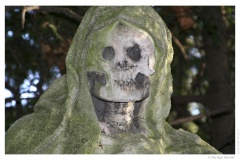 IMG_20061210_122327-Web