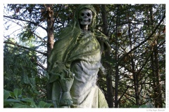 IMG_20061210_122340-Web