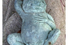 IMG_20061210_122358-Web