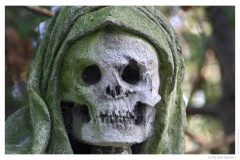 IMG_20061210_122623-Web