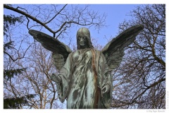 IMG_20061210_123256-Web