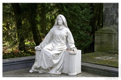 IMG_20061210_125234-Web