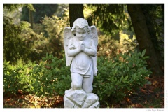 IMG_20061210_130116-Web