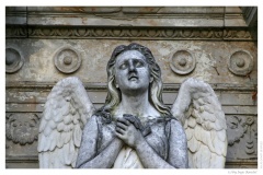 IMG_20061210_131635-Web