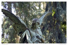 Melatenfriedhof Melatenfriedhof