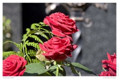 Melatenfriedhof Melatenfriedhof