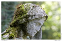 Melatenfriedhof Melatenfriedhof