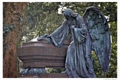 IMG_20110117_135616-Web