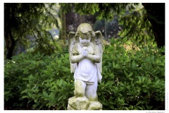 IMG_20110117_140003-Web