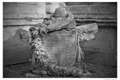 IMG_20110117_142146-Web