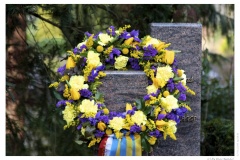 IMG_20110117_143311-Web