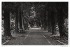 Der Weg