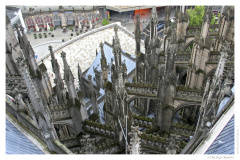 IMG_20060819_173114-Web