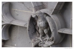 IMG_20070310_152201-Web