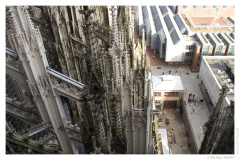 IMG_20070310_162308-Web