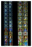 Cologne Cathedral