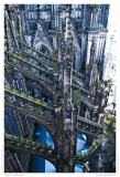 Cologne Cathedral