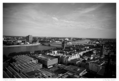 Cologne Cathedral