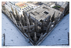 Cologne Cathedral