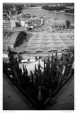 Cologne Cathedral
