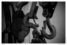 Schekel