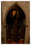 Orgel
