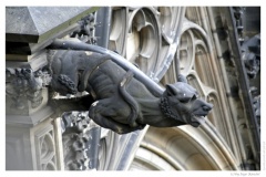 IMG_20060819_162626-Web