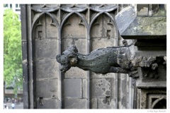 IMG_20060819_163509-Web