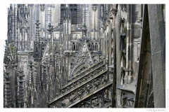 IMG_20060819_164048-Web