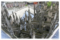 IMG_20060819_173114-Web