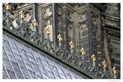 IMG_20060819_181030-Web