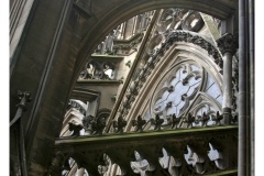 IMG_20060819_182608-Web