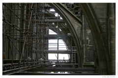 IMG_20060819_184830-Web