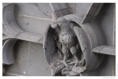 IMG_20070310_152201-Web