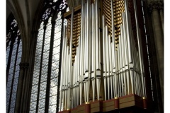 IMG_20070310_163311-Web