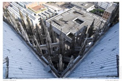 Cologne Cathedral