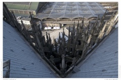 Cologne Cathedral