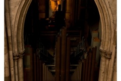 Orgel