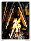 Flammlachs