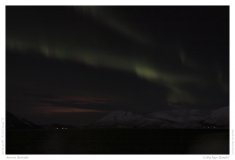 Aurora Borealis